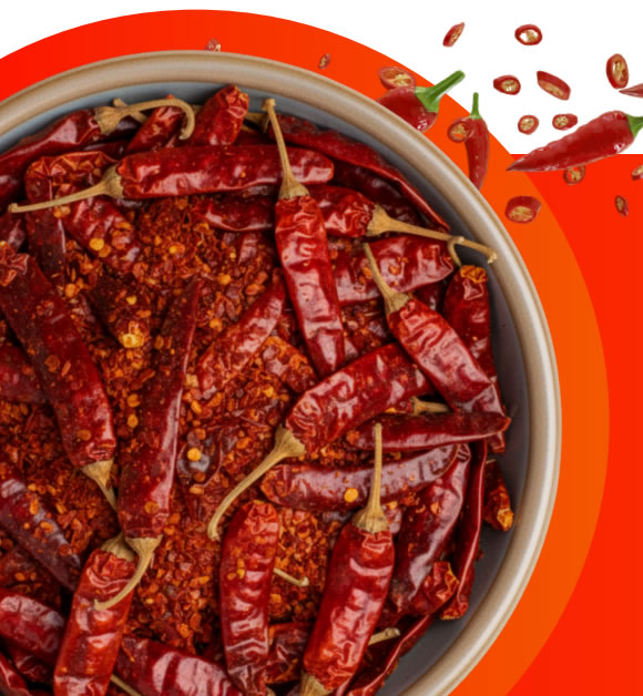 Dried red chilli pepper